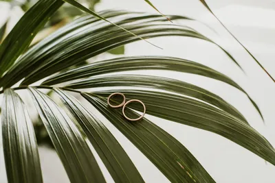 Wedding photography 6